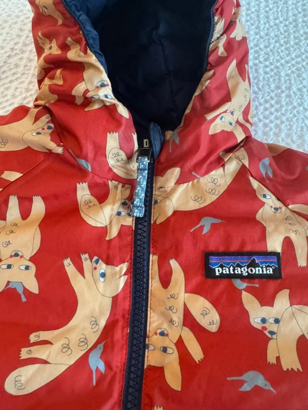 Patagonia excellent baby